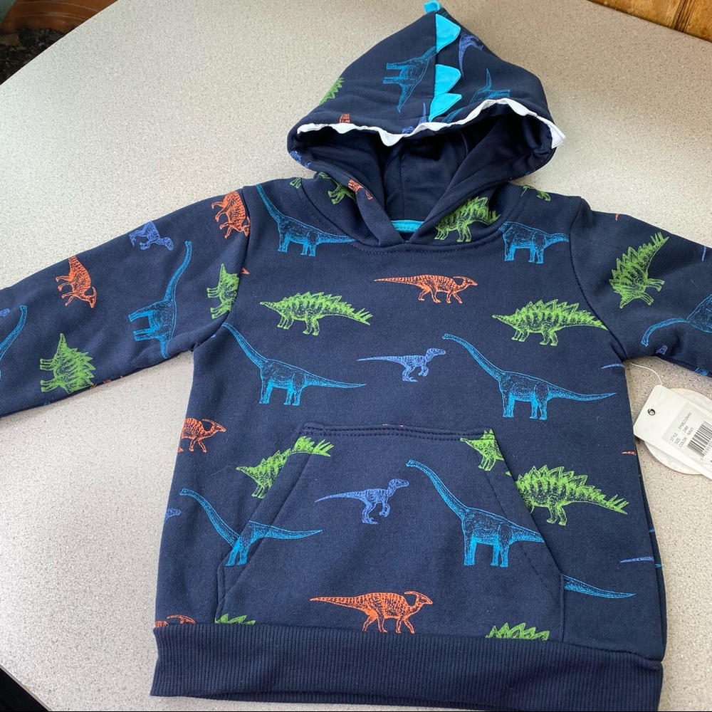 Free Planet dinosaur sweatshirt size 24 mo.